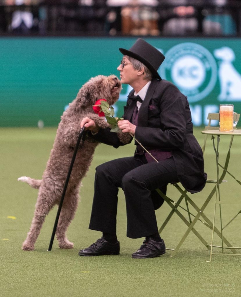 crufts-3